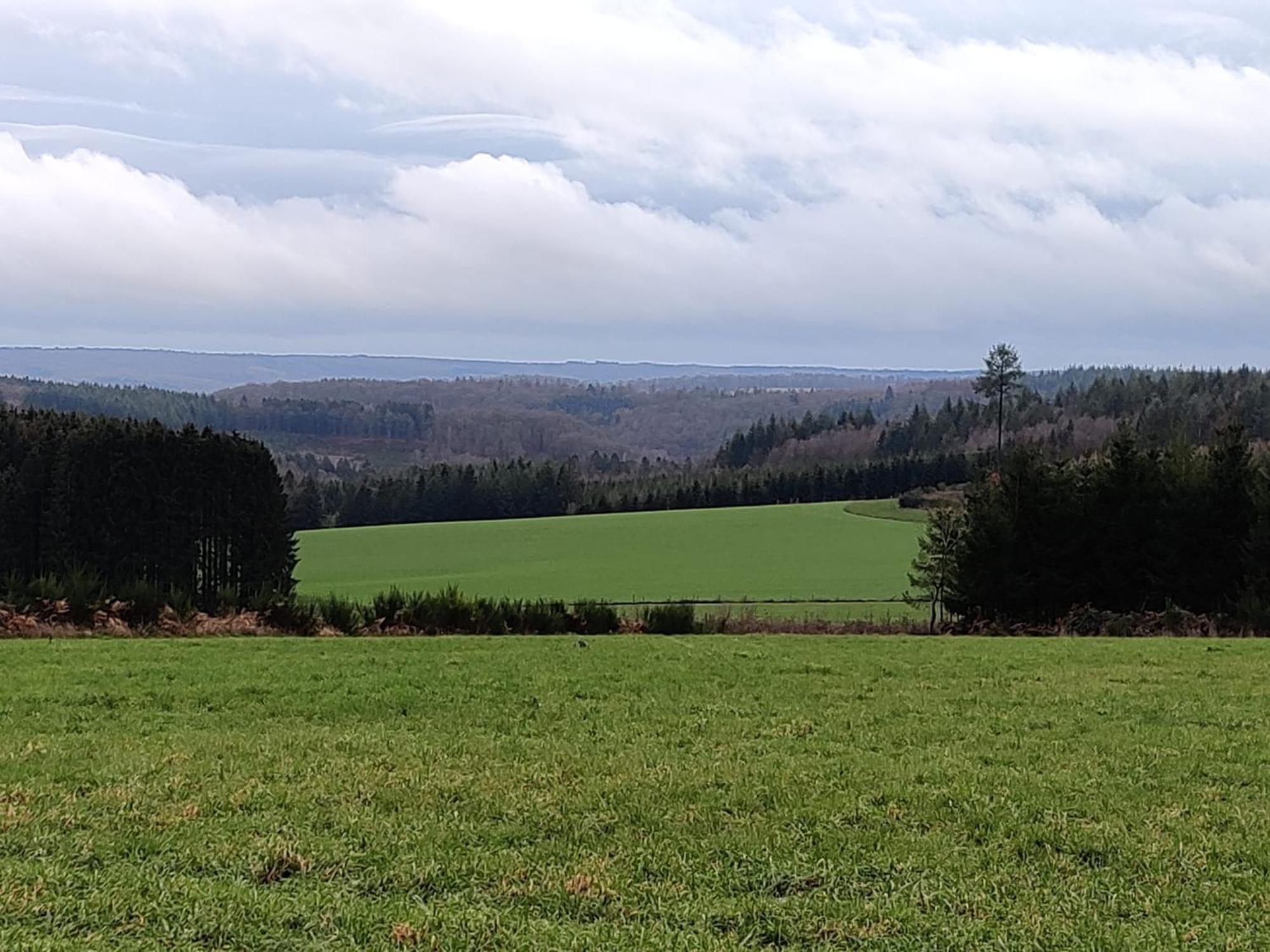 La Ferme Oubliee Villa Paliseul Buitenkant foto